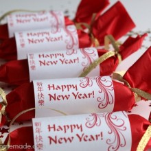 Chinese New Year Party Favors