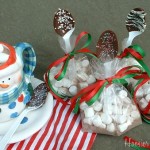 Chocolate-Spoons.ZL