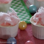 Cotton Candy No Bake Mini Cheesecakes | Recipe on HoosierHomemade.com