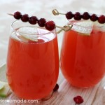 Cranberry Apple Spritzer Mocktail : Recipe on HoosierHomemade.com