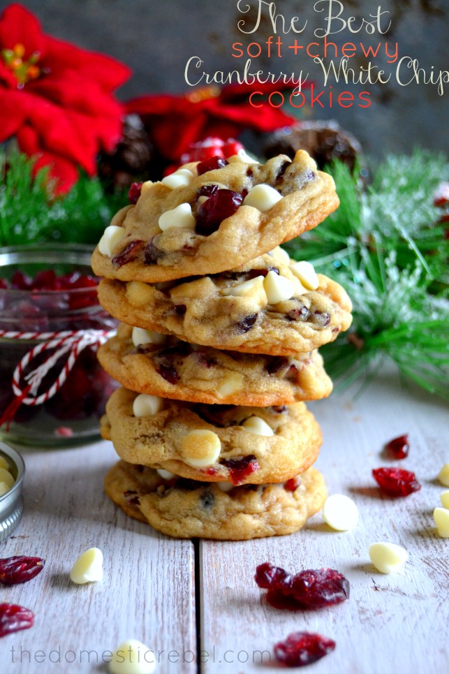 Cranberry White Chocolate Chip Cookies- So good!