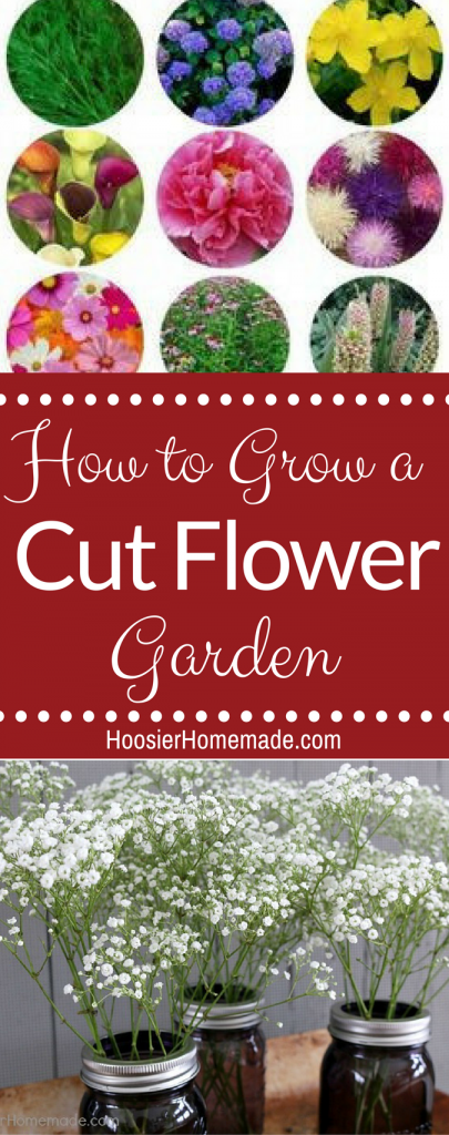 How to Create a Cut Flower Garden