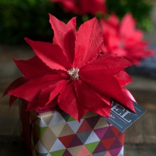 DIYNapkinPoinsettiaS