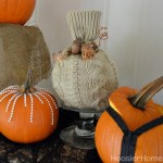 Easy Decorated Pumpkins :: HoosierHomemade.com