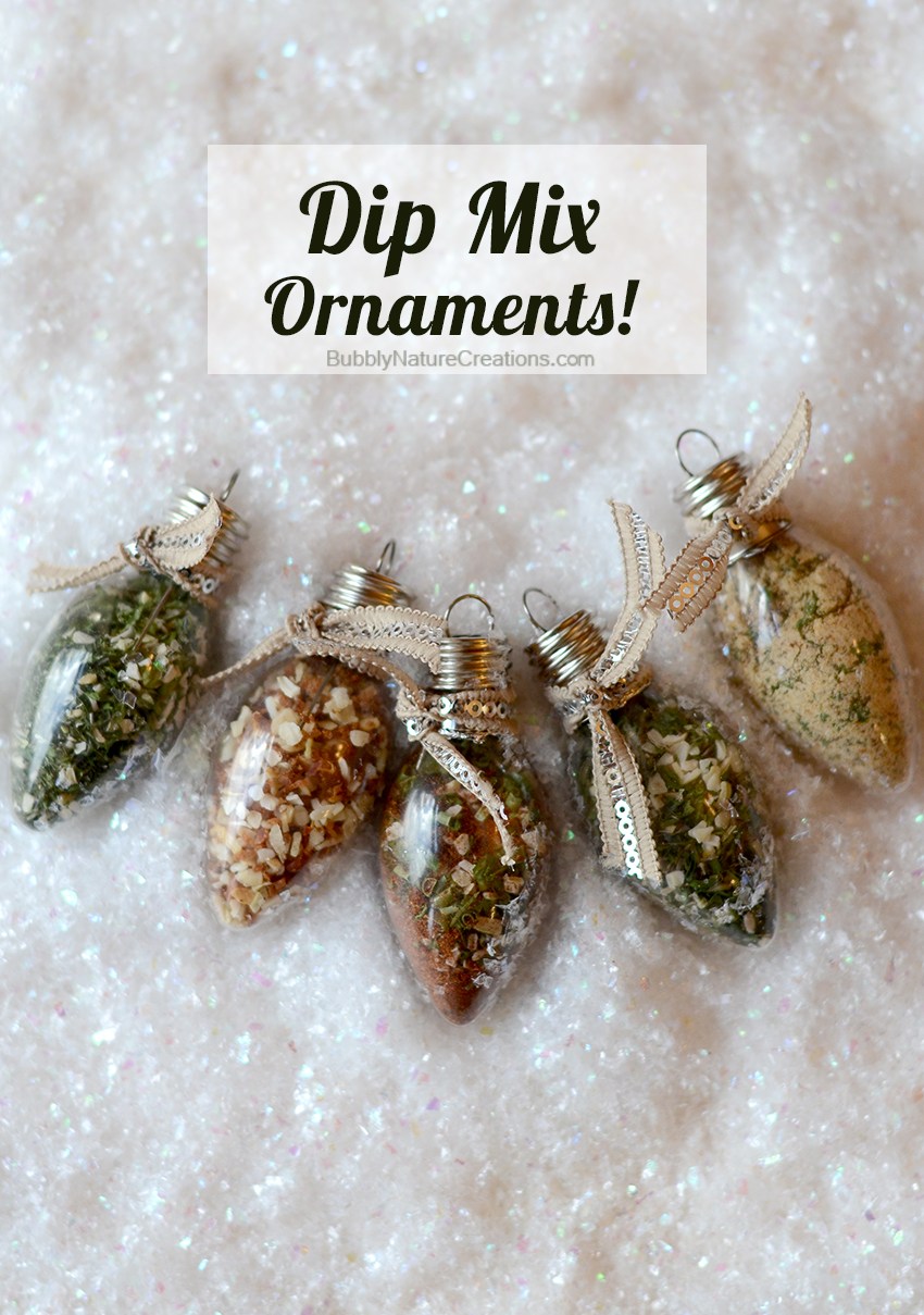 DIY Dip Mix Ornament Gifts