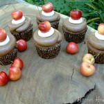 Double Chocolate Cupcakes - August 2011