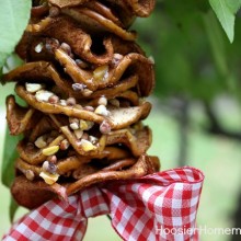 DIY Dried Apple Bird Feeder :: Instructions on HoosierHomemade.com