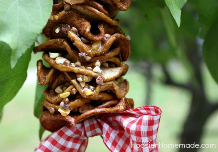 Dried Apple Bird Feeder