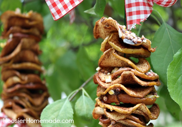 Dried Apple Bird Feeder