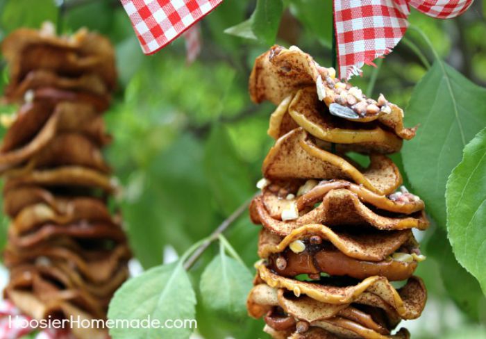 dried fruit for birds