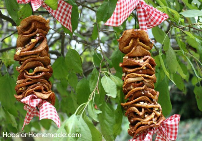 dried fruit bird feeder