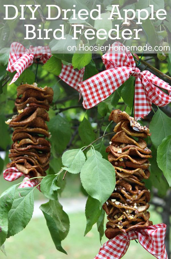 Keep the birds happy and coming back with this DIY Dried Apple Bird Feeder. The kids can help make it too! It has NO PEANUT BUTTER! Click on the Photos for Instructions!