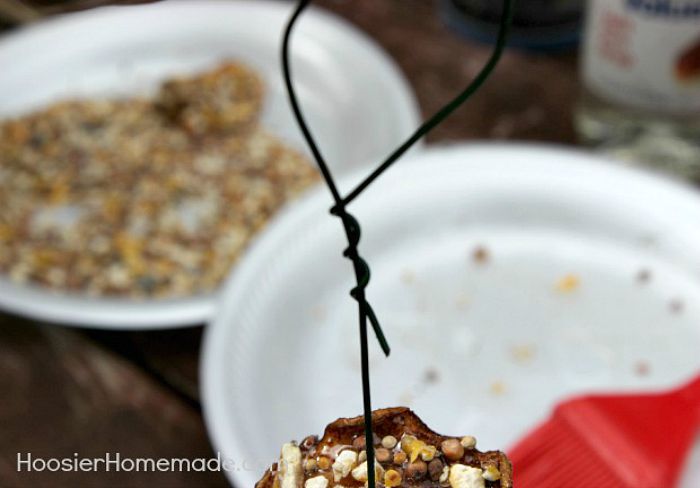 Dried Apple Bird Feeder