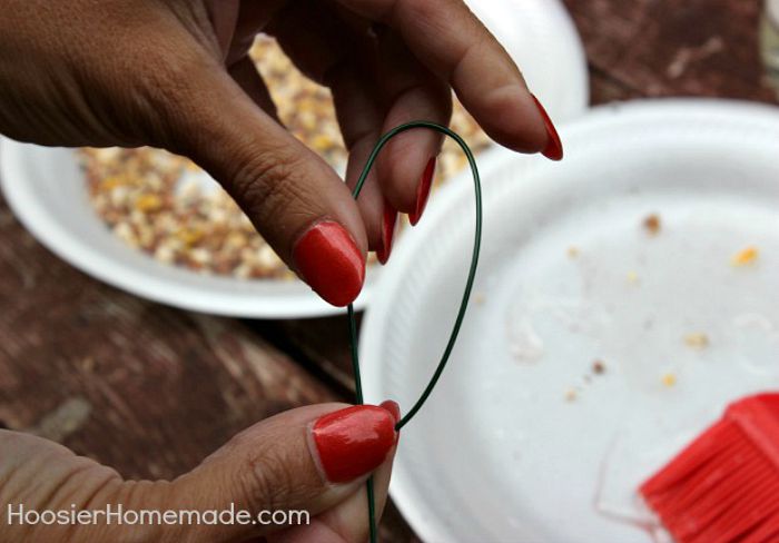 Dried Apple Bird Feeder