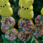 Easter-Doughnut-Pops.close