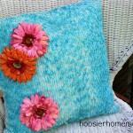 Easy Brush Dyed Pillow :: Hoosier Homemade