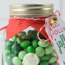 Elf-Mason-Jar-Christmas-Gift.feature
