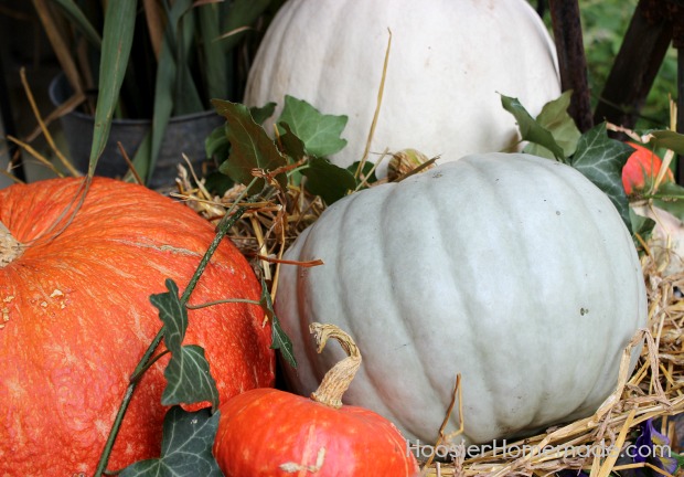 Outdoor Decorating for Fall :: on HoosierHomemade.com