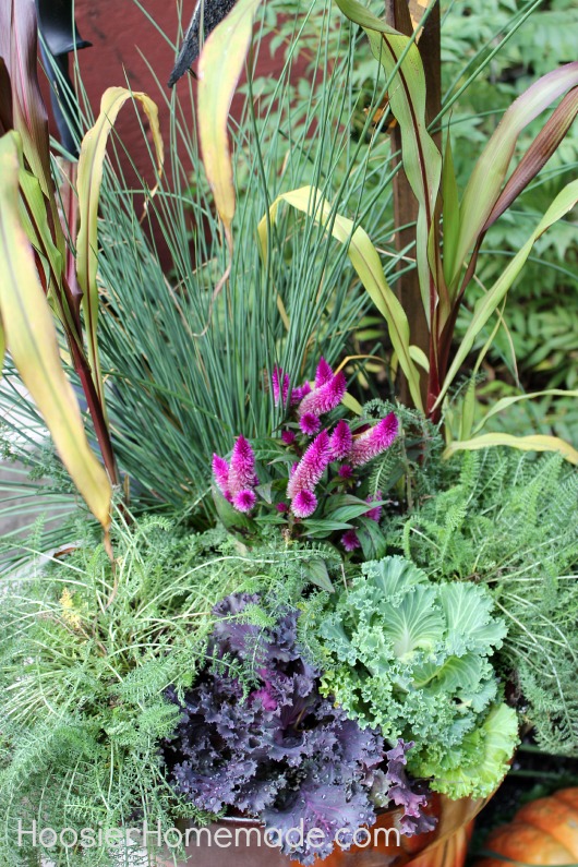 Fall Container Garden :: Instructions on HoosierHomemade.com