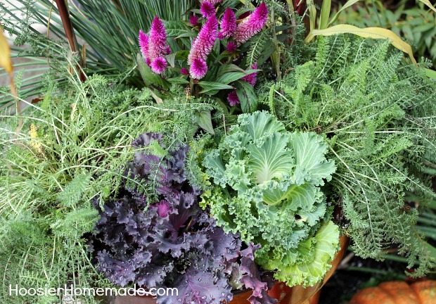 Fall Container Garden :: Instructions on HoosierHomemade.com