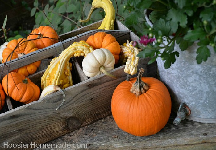 FALL WINDOW BOXES -- Fall Decorating Tips