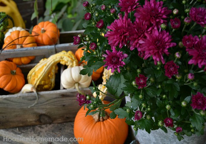 FALL WINDOW BOXES -- Fall Decorating Tips