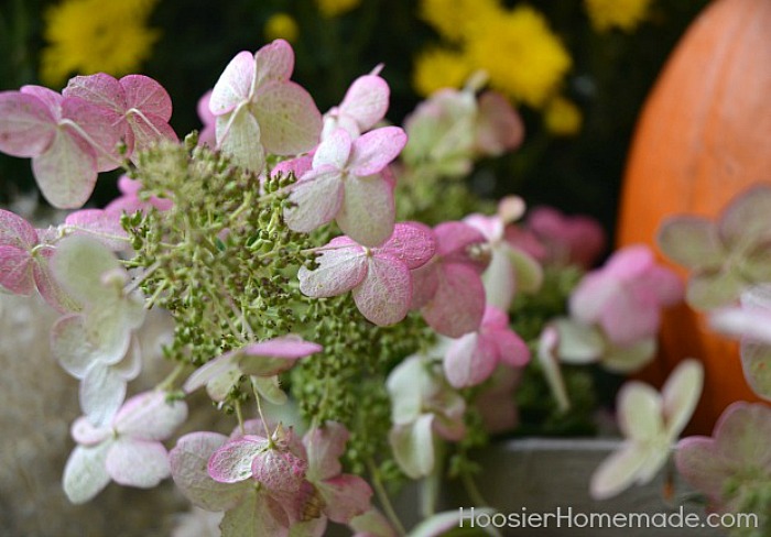 FALL WINDOW BOXES -- Fall Decorating Tips