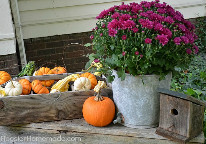 FALL WINDOW BOXES -- Fall Decorating Tips