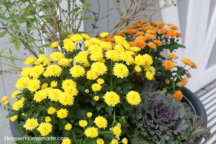 FALL OUTDOOR PLANTER -- Learn how to make this easy Fall planter!