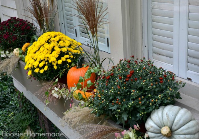 FALL WINDOW BOXES -- Fall Decorating Tips