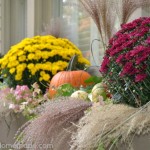 Fall Outdoor Decorating | How to Decorate Window Boxes | on HoosierHomemade.com