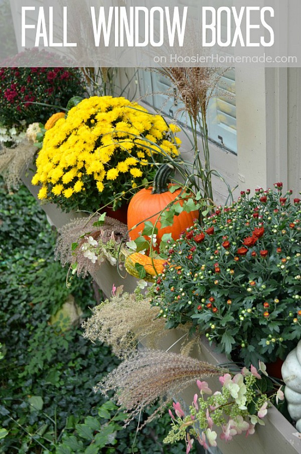 FALL WINDOW BOXES -- Fall Decorating Tips