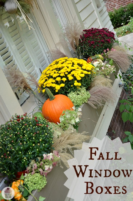 How to Decorate Fall Window Boxes :: HoosierHomemade.com