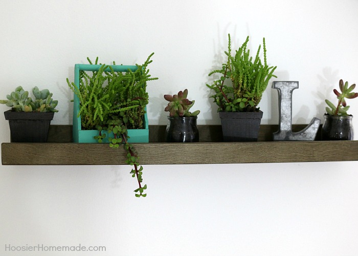 Small succulents on a floating shelf