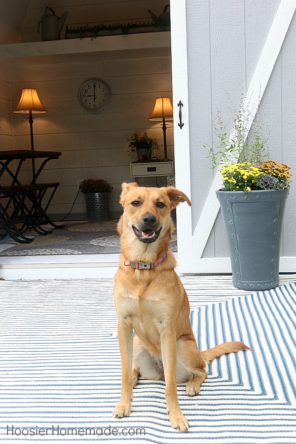 SHE SHED -- This Farmhouse She Shed is AMAZING! Grab a cup of coffee or a glass of wine and be inspired to create a space of your own!