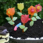 Flower-Pot-Dessert.close