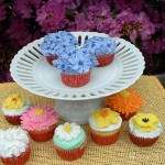 Flowers Cupcakes - May 2011