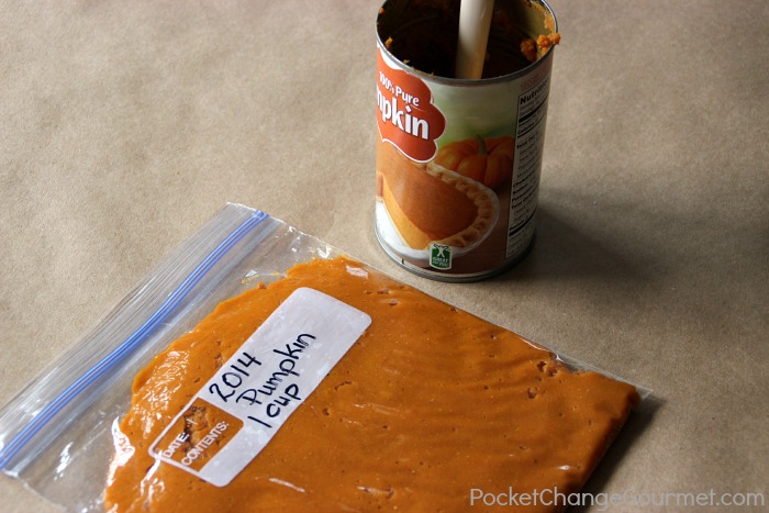 Freezing-Pumpkin-Canned