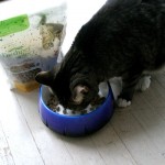 Fresh-Pet-Cat-Food Fresh-Pet-Cat-Food