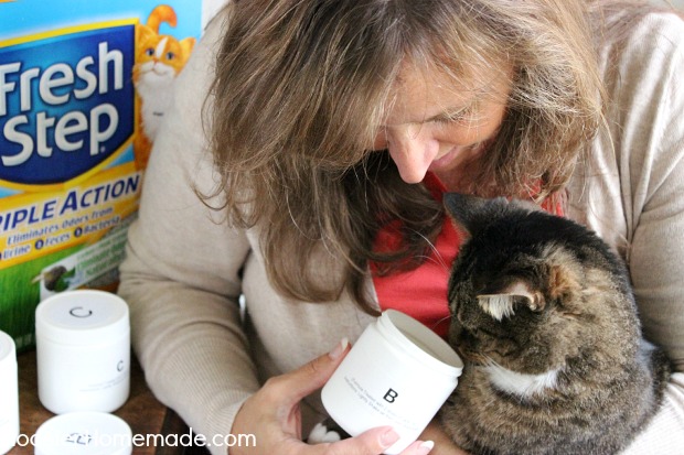 Fresh Step Triple Action Cat Litter gets put to the test. And it's a winner! :: HoosierHomemade.com