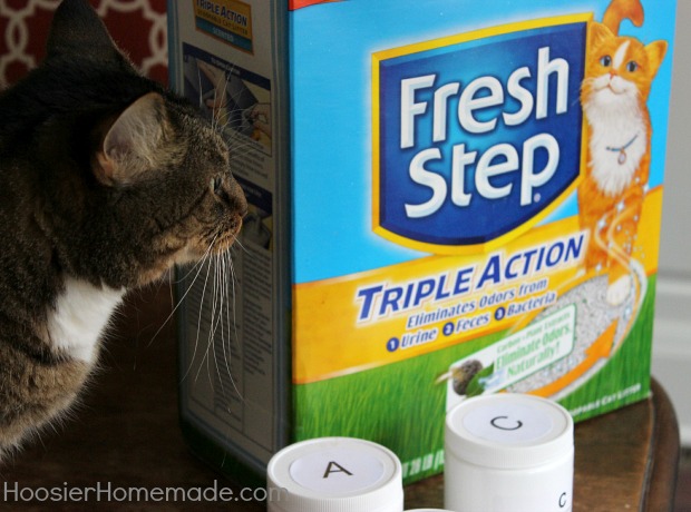 Fresh Step Cat Litter with Triple Action