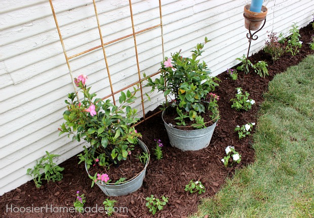 Cottage Garden Landscaping :: on HoosierHomemade.com