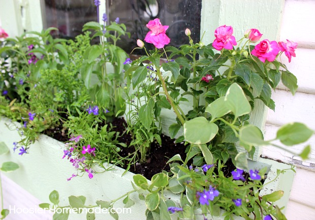 Cottage Garden Landscaping :: on HoosierHomemade.com