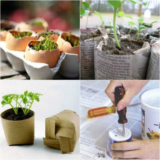 Garden Seed Starters