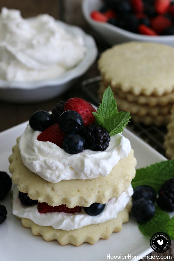 The perfect Summertime dessert - Strawberry Shortcakes - have been made healthier with gluten-free and low sugar, and the addition of Blackberries and Blueberries for even more goodness! Click on the photo for the Gluten Free Triple Berry Shortcake Recipe!