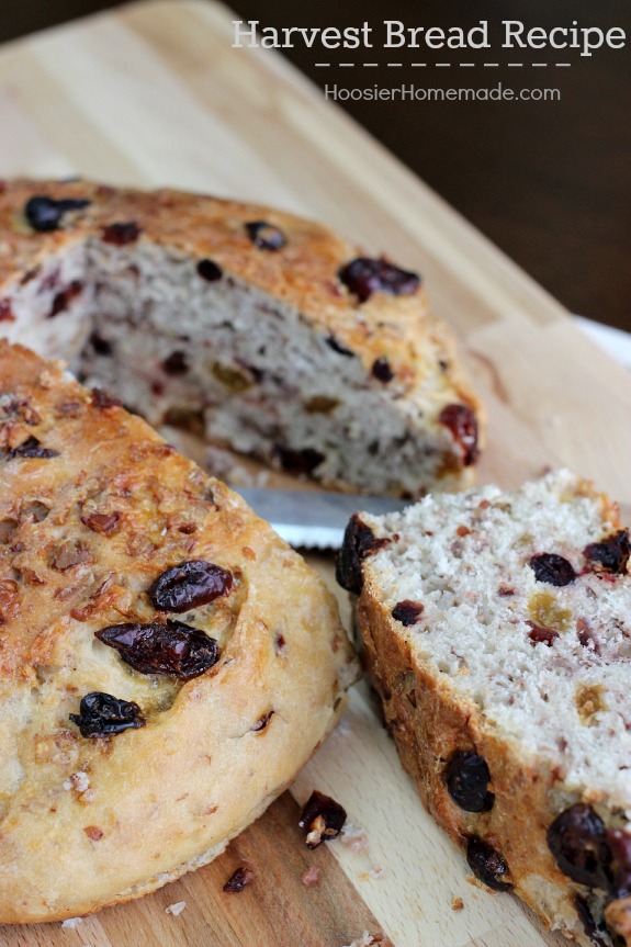 This quick and easy Harvest Bread Recipe is packed with flavor! Golden Raisins, Dried Cranberries and Pecans enhance the delicious flavor! Pin to your Recipe Board!