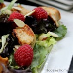 Raspberry Chicken Salad: Healthy 5 Minute Recipe :: on HoosierHomemade.com