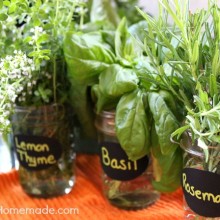 Fresh Herbs :: Preserving and Drying :: on HoosierHomemade.com