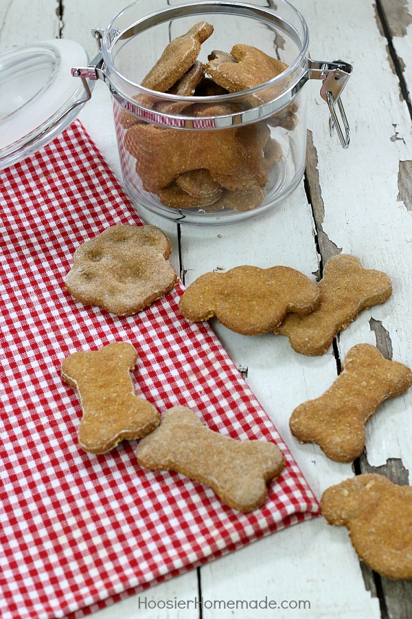 HOMEMADE DOG TREATS -- Your dog will LOVE these easy to make homemade dog treats! Filled with good ingredients like pumpkin, peanut butter, oats and more!