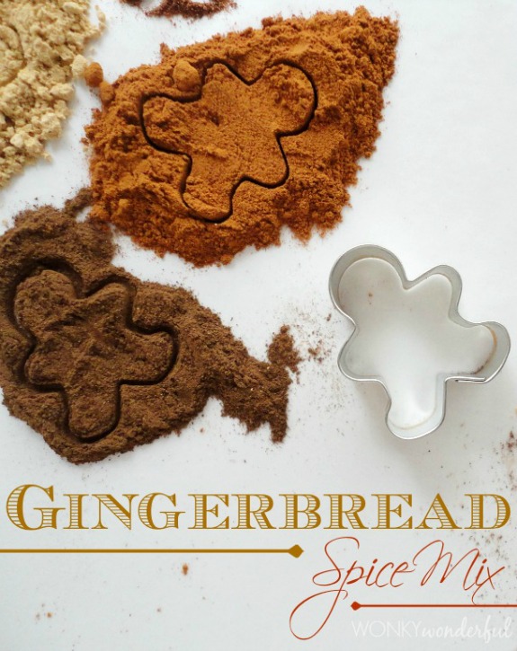 Homemade Gingerbread Spice Mix | 100 Days of Homemade Holiday Inspiration on HoosierHomemade.com